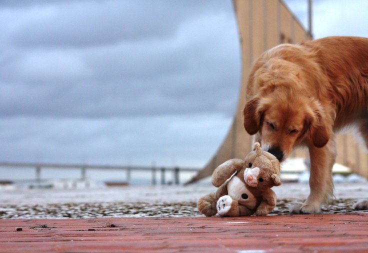 impossible_love_by_filipapaixao-d4ormdv