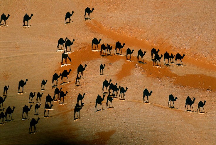 Crossing Arabia's Empty Quarter